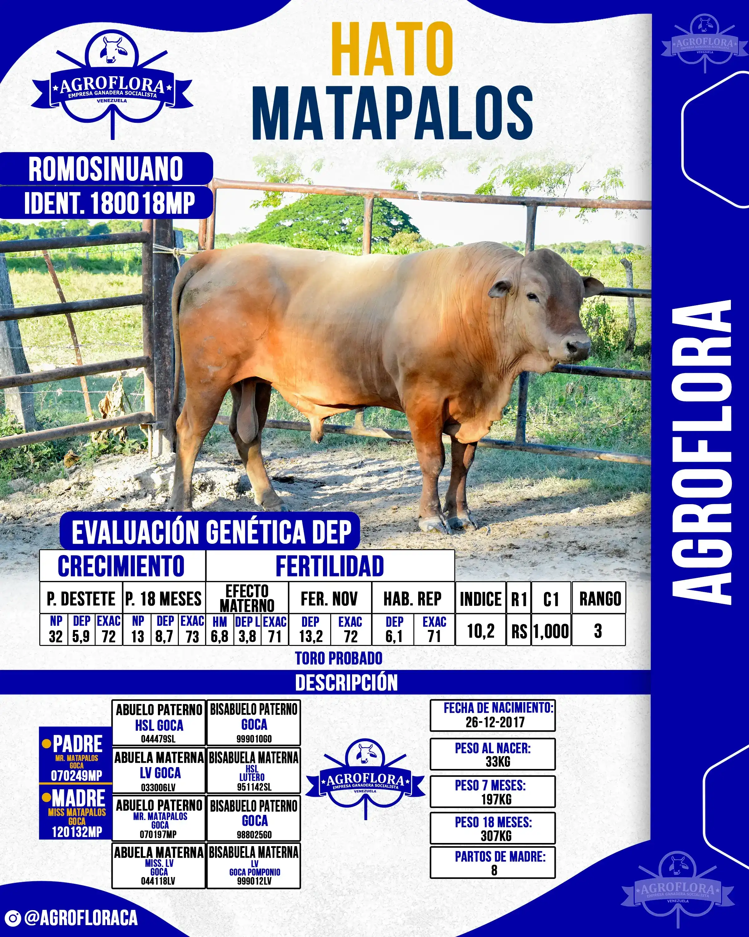 Toro Probado 180018MP - Pajuelas de Semen