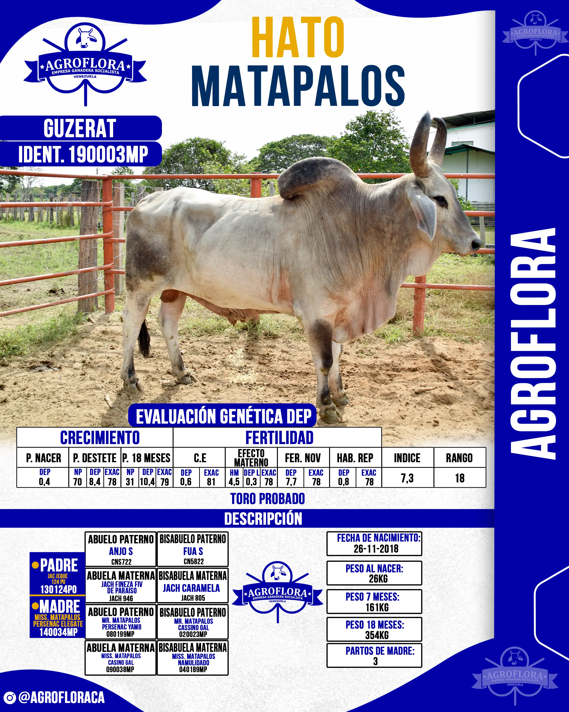 Toro Probado 190003MP - Pajuelas de Semen