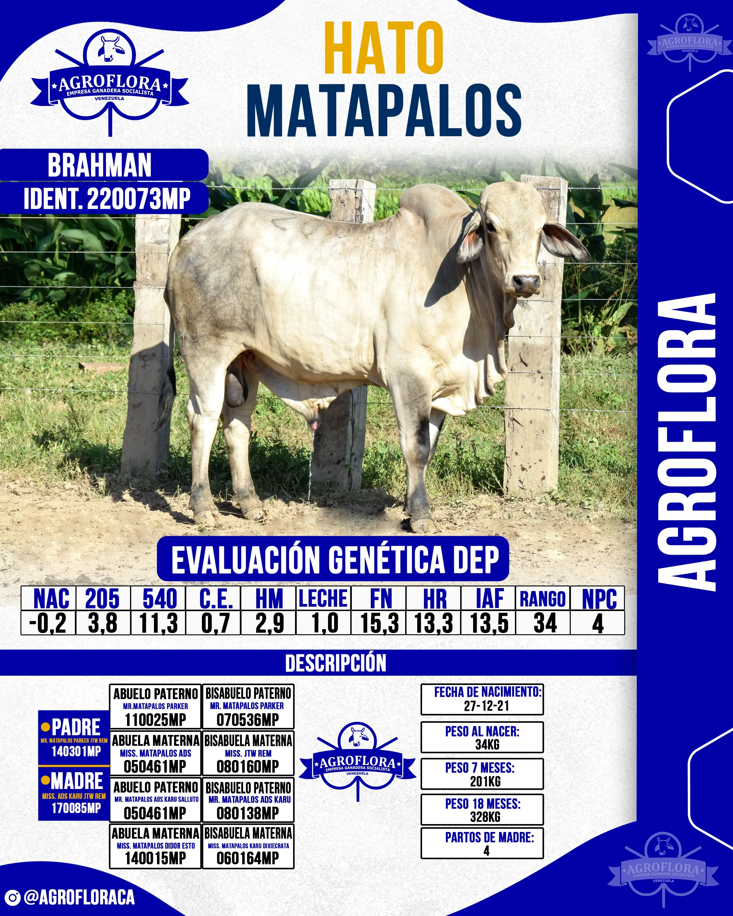 Toro Probado 220073MP - Pajuelas de Semen